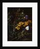 Thistles and Daisies by Johan Laurentz Jensen
