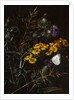 Thistles and Daisies by Johan Laurentz Jensen