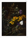 Thistles and Daisies by Johan Laurentz Jensen