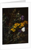 Thistles and Daisies by Johan Laurentz Jensen