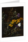 Thistles and Daisies by Johan Laurentz Jensen