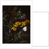 Thistles and Daisies by Johan Laurentz Jensen