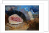 The Birth of Venus by Odilon Redon