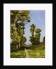 The Way Leading to the Lake by Henri Joseph Harpignies