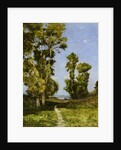 The Way Leading to the Lake by Henri Joseph Harpignies
