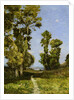 The Way Leading to the Lake by Henri Joseph Harpignies