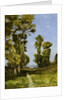 The Way Leading to the Lake by Henri Joseph Harpignies