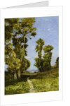 The Way Leading to the Lake by Henri Joseph Harpignies