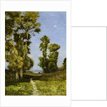 The Way Leading to the Lake by Henri Joseph Harpignies