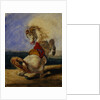 Rearing Horse by Eugene Delacroix