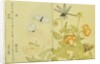 Illustration from A Picture Book of Selected Insects (Butterflies and Flowers) by Utamaro