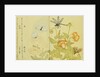 Illustration from A Picture Book of Selected Insects (Butterflies and Flowers) by Utamaro