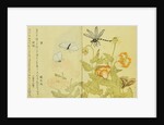 Illustration from A Picture Book of Selected Insects (Butterflies and Flowers) by Utamaro