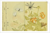 Illustration from A Picture Book of Selected Insects (Butterflies and Flowers) by Utamaro