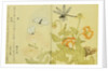 Illustration from A Picture Book of Selected Insects (Butterflies and Flowers) by Utamaro