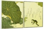 Illustration from A Picture Book of Selected Insects (Frog and Lilypad) by Utamaro