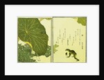 Illustration from A Picture Book of Selected Insects (Frog and Lilypad) by Utamaro