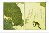 Illustration from A Picture Book of Selected Insects (Frog and Lilypad) by Utamaro