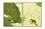 Illustration from A Picture Book of Selected Insects (Frog and Lilypad) by Utamaro