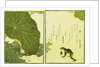 Illustration from A Picture Book of Selected Insects (Frog and Lilypad) by Utamaro