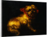 Maltese Terrier with a Red Collar by a Madrid School Painter by Anonymous