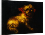 Maltese Terrier with a Red Collar by a Madrid School Painter by Anonymous