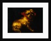 Maltese Terrier with a Red Collar by a Madrid School Painter by Anonymous