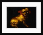 Maltese Terrier with a Red Collar by a Madrid School Painter by Anonymous
