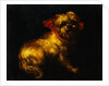 Maltese Terrier with a Red Collar by a Madrid School Painter by Anonymous