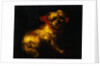 Maltese Terrier with a Red Collar by a Madrid School Painter by Anonymous