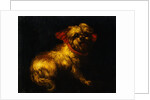 Maltese Terrier with a Red Collar by a Madrid School Painter by Anonymous