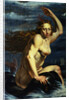 Galatea by Werner Jacobsz