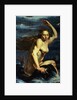 Galatea by Werner Jacobsz