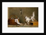 A Mouse Trap with a Cat and Kittens in a Basket by Jean Jacques Bachelier