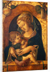 Madonna and Child by Carlo Crivelli