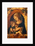 Madonna and Child by Carlo Crivelli