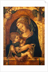 Madonna and Child by Carlo Crivelli