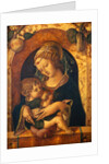 Madonna and Child by Carlo Crivelli