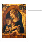 Madonna and Child by Carlo Crivelli