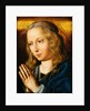 The Virgin at Prayer by Quentin Massys