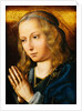 The Virgin at Prayer by Quentin Massys