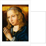 The Virgin at Prayer by Quentin Massys