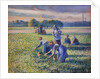 The Pea Harvest by Camille Pissarro