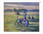 The Pea Harvest by Camille Pissarro