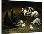 Barnyard Friends by Casper von Reth
