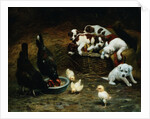 Barnyard Friends by Casper von Reth