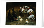 Barnyard Friends by Casper von Reth