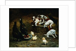 Barnyard Friends by Casper von Reth