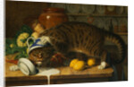 The Collared Thief by William J. Webbe