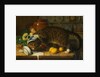 The Collared Thief by William J. Webbe